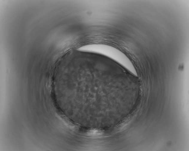 X0000094230319200711021209