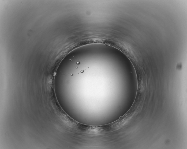 X0000094230321200711021209