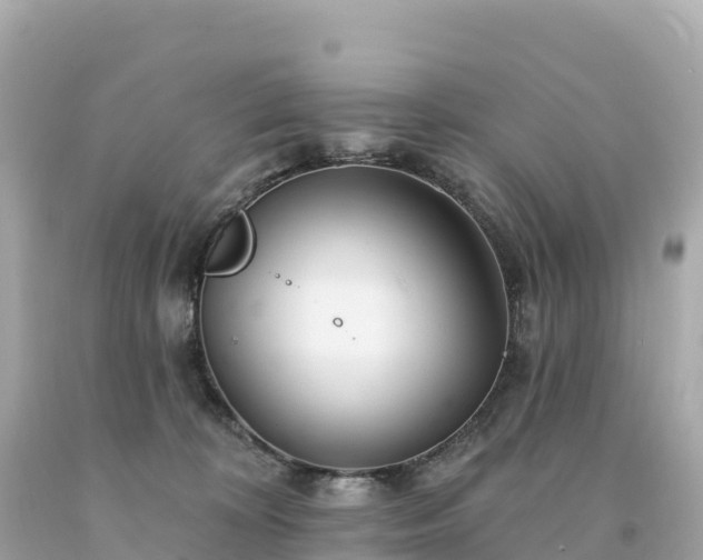 X0000094230324200711021209