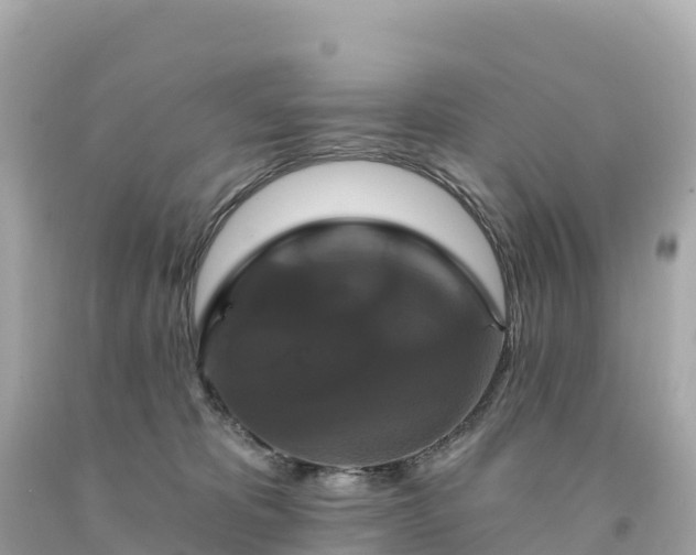 X0000094230325200711021209