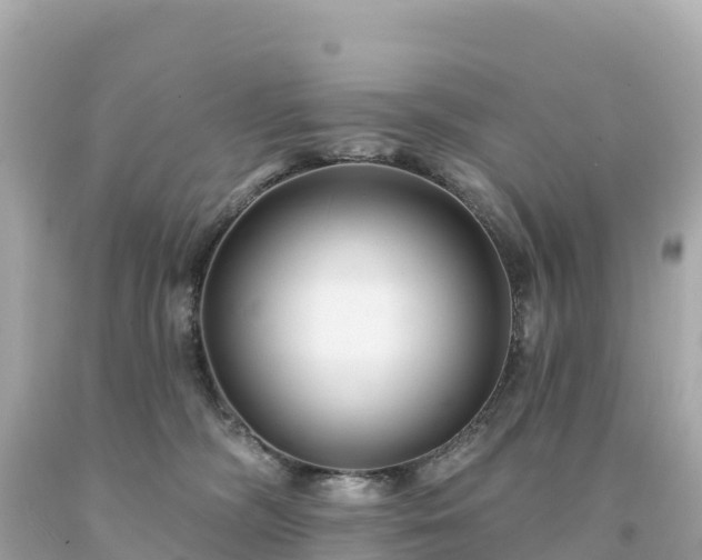 X0000094230326200711021209