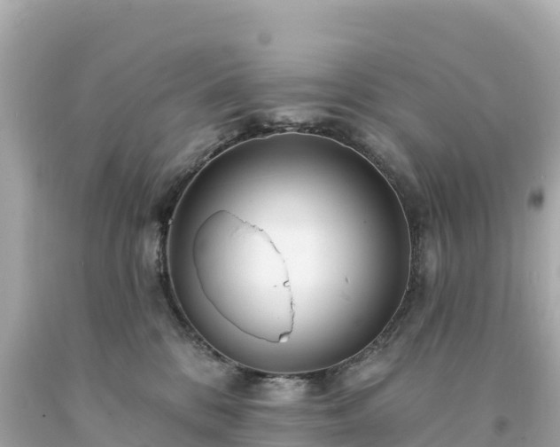 X0000094230328200711021209