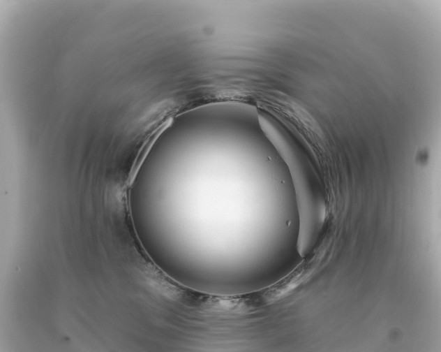 X0000094230329200711021209