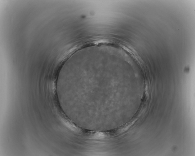 X0000094230330200711021209