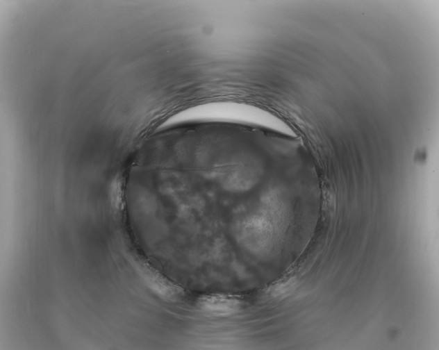 X0000094230331200711021209