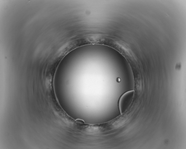 X0000094230332200711021209