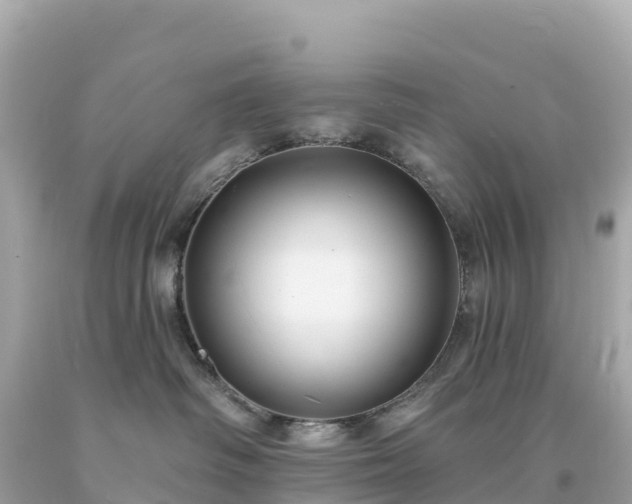 X0000094230334200711021209