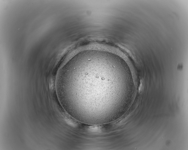 X0000094230335200711021209