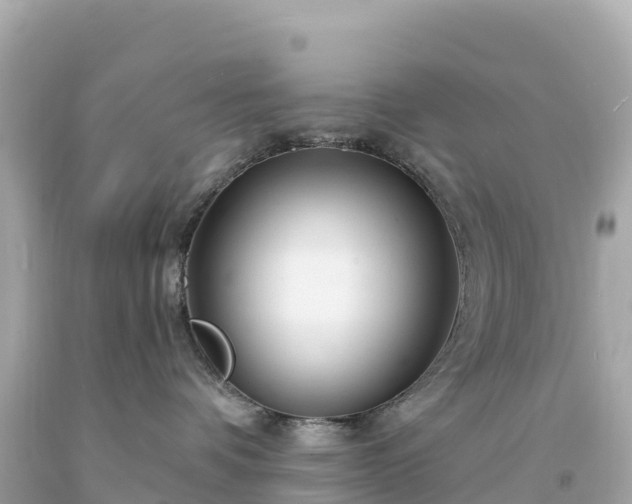 X0000094230336200711021209