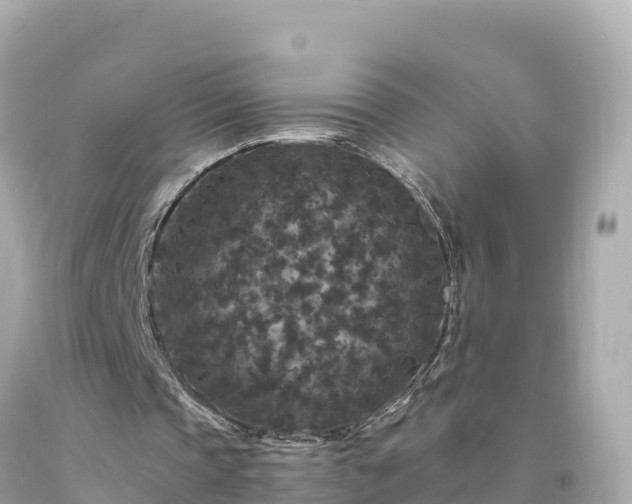 X0000094230337200711021208