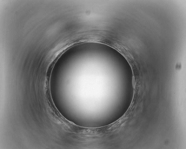 X0000094230338200711021208