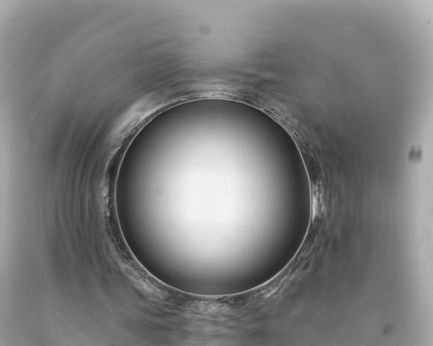 X0000094230339200711021208