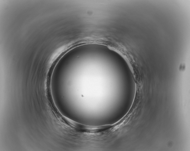 X0000094230340200711021208