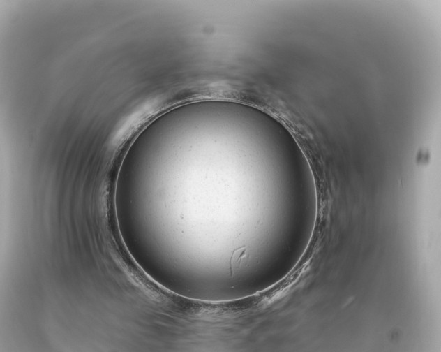 X0000094230341200711021208