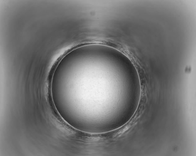 X0000094230342200711021208