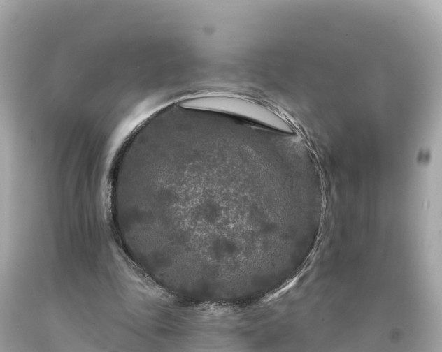 X0000094230343200711021208