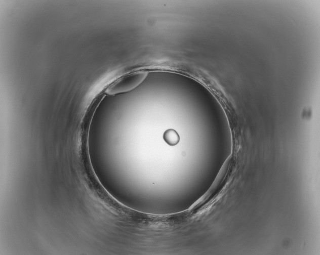 X0000094230344200711021208