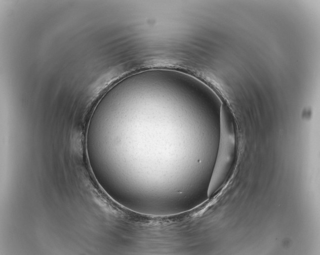 X0000094230345200711021208