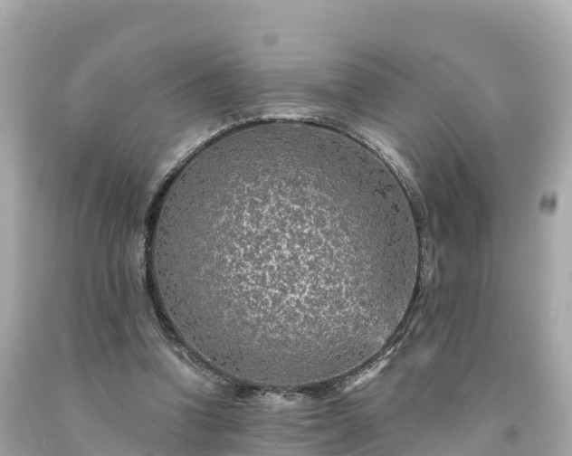 X0000094230346200711021208