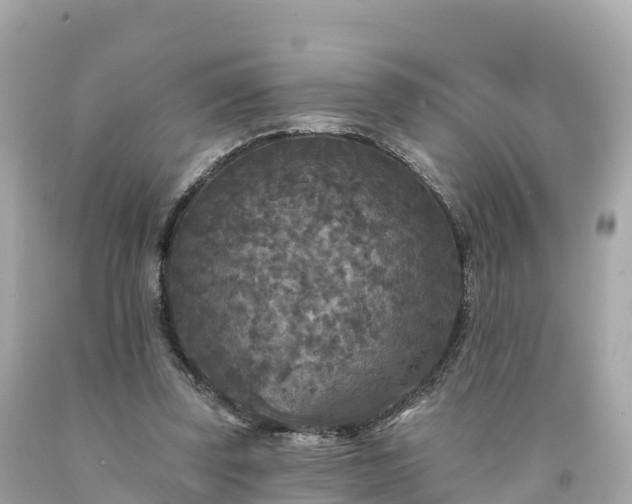 X0000094230347200711021208