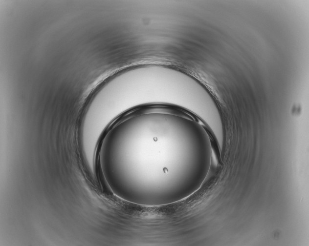 X0000094230348200711021208