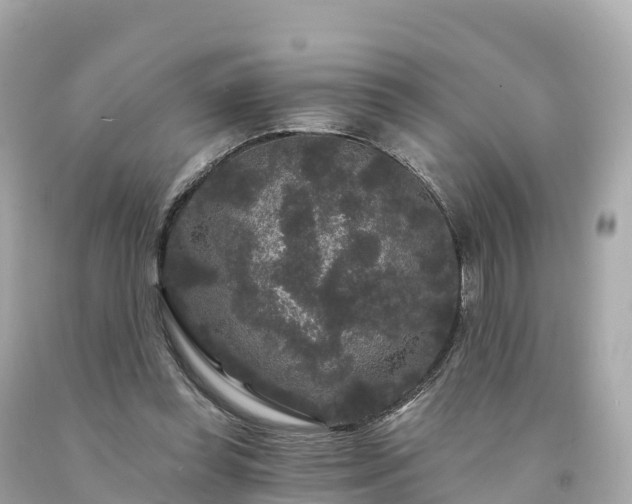 X0000094230349200711021208