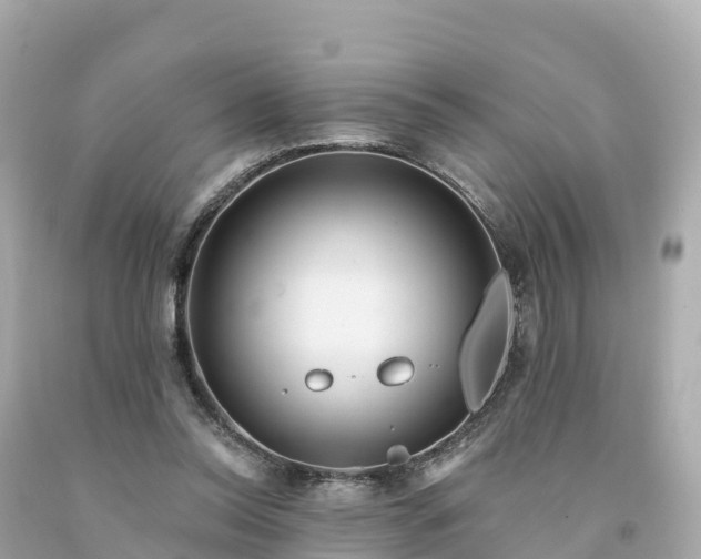 X0000094230350200711021208