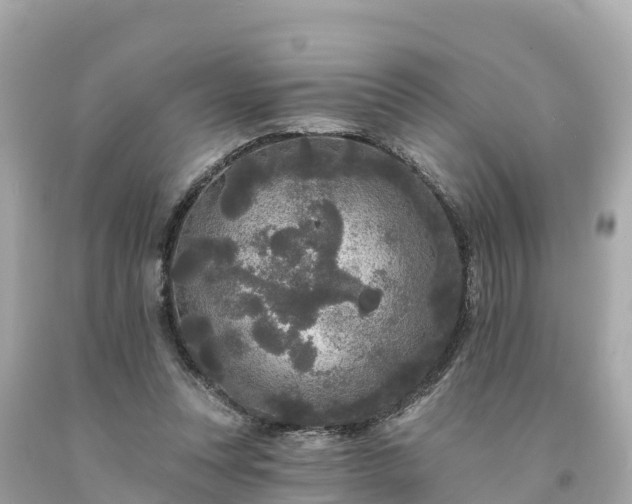 X0000094230351200711021208