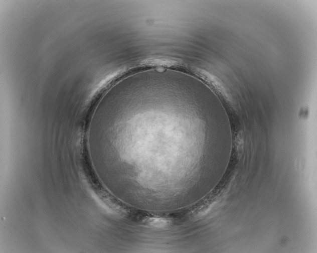 X0000094230352200711021208