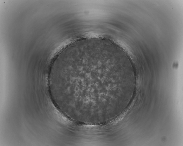 X0000094230353200711021208