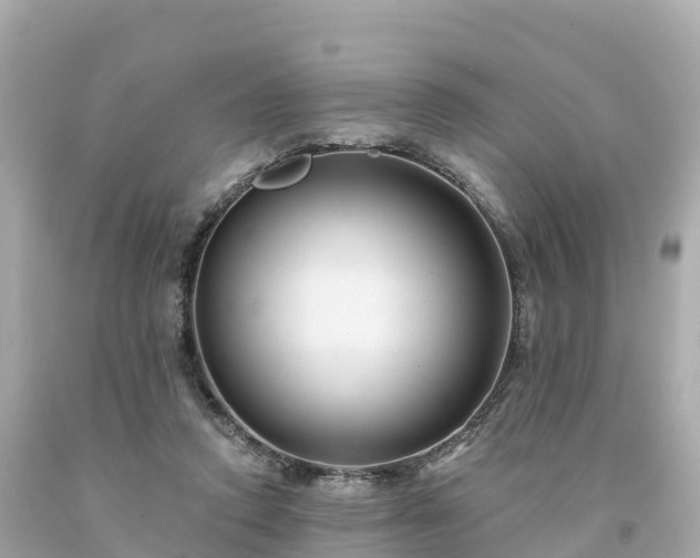 X0000094230354200711021208