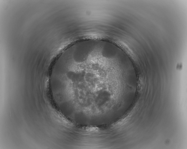 X0000094230355200711021208