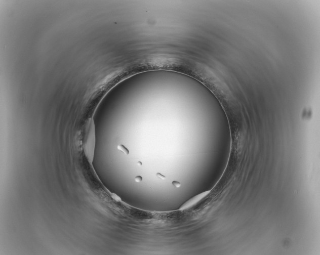 X0000094230356200711021208