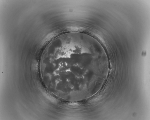 X0000094230357200711021208