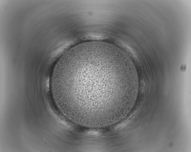 X0000094230358200711021208