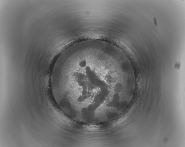 X0000094230359200711021208