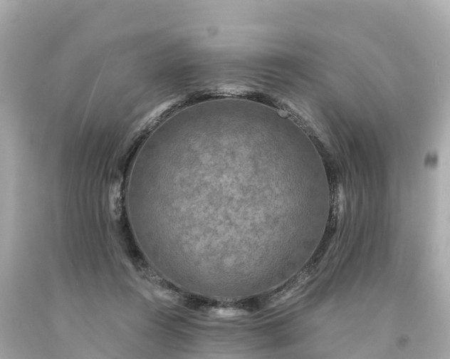 X0000094230360200711021208