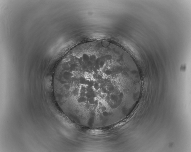 X0000094230361200711021208