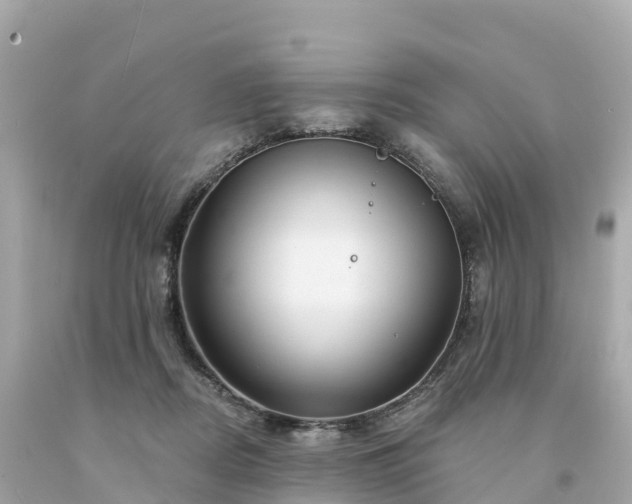 X0000094230362200711021208