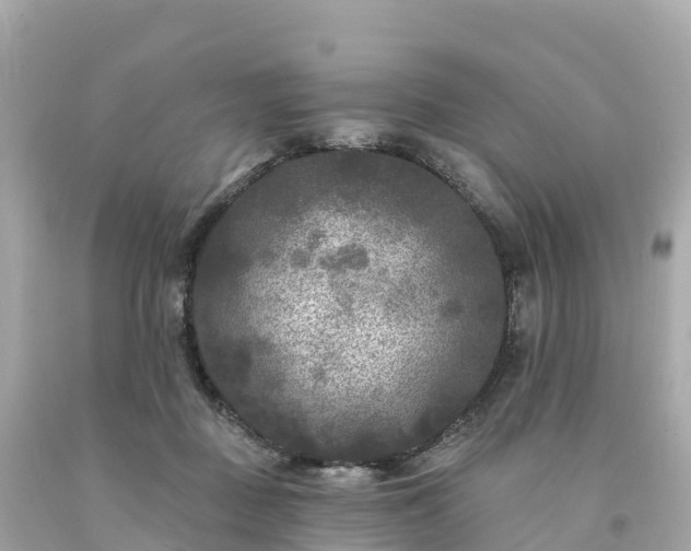 X0000094230363200711021208