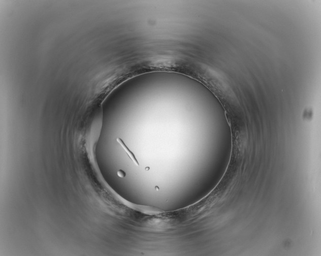 X0000094230364200711021208