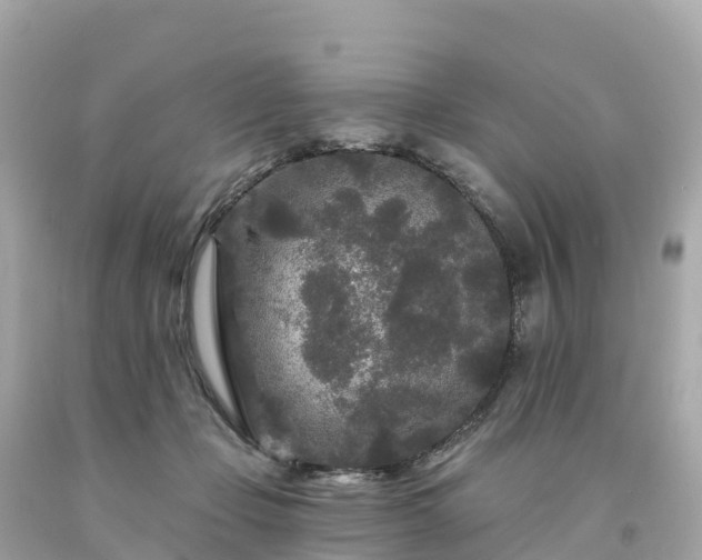 X0000094230365200711021208