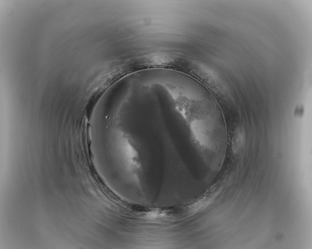 X0000094230366200711021208