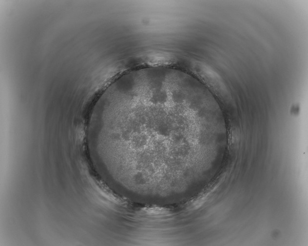 X0000094230367200711021208