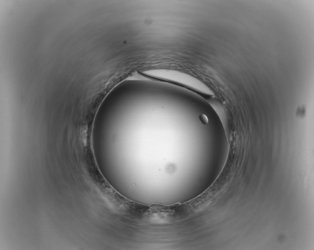 X0000094230368200711021208