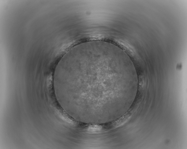 X0000094230369200711021209