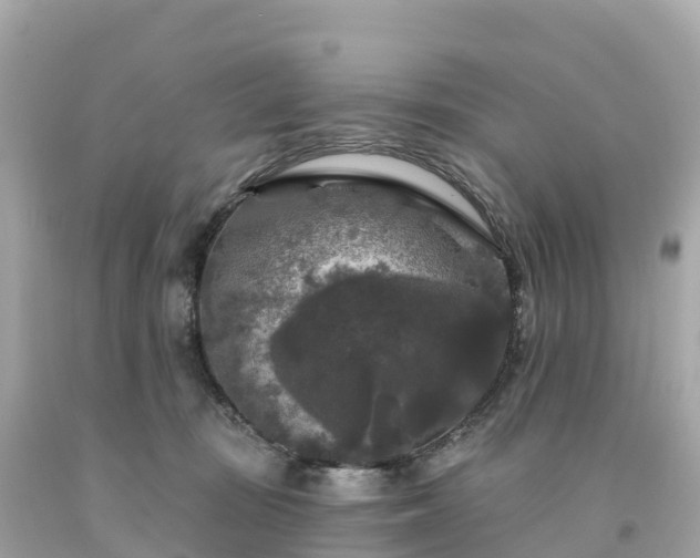 X0000094230371200711021209