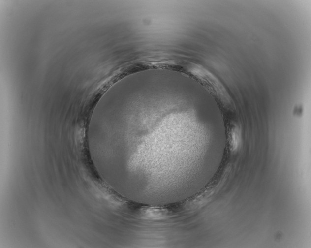 X0000094230372200711021209