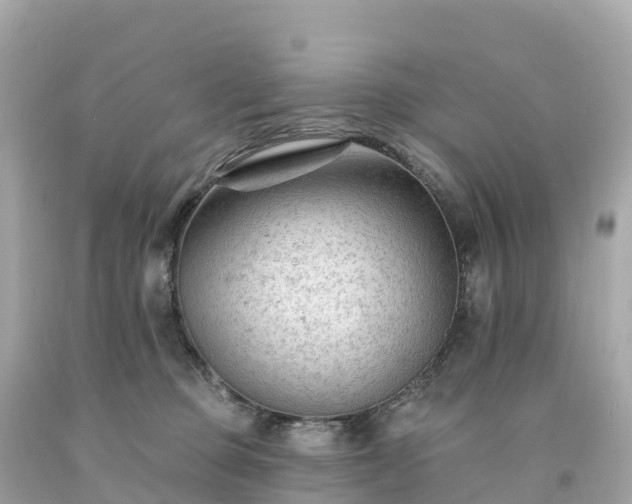 X0000094230373200711021209