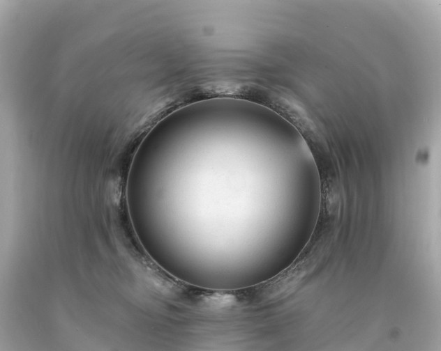 X0000094230374200711021209